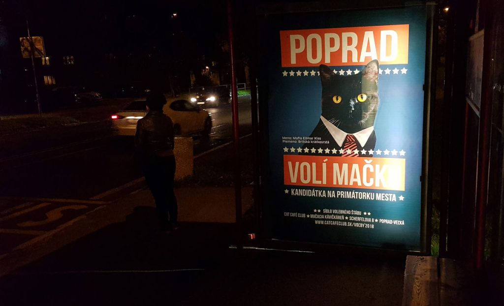 Mačka Mafia, kandidátka na primátorku Popradu