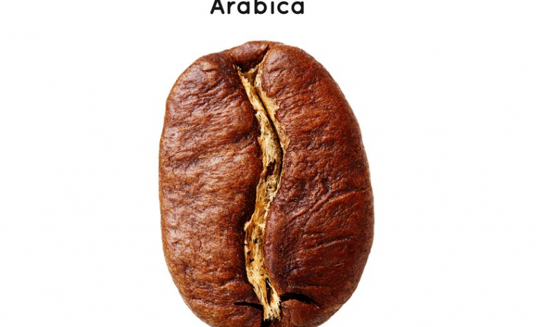 kávové zrnko - Arabica (Arabika)