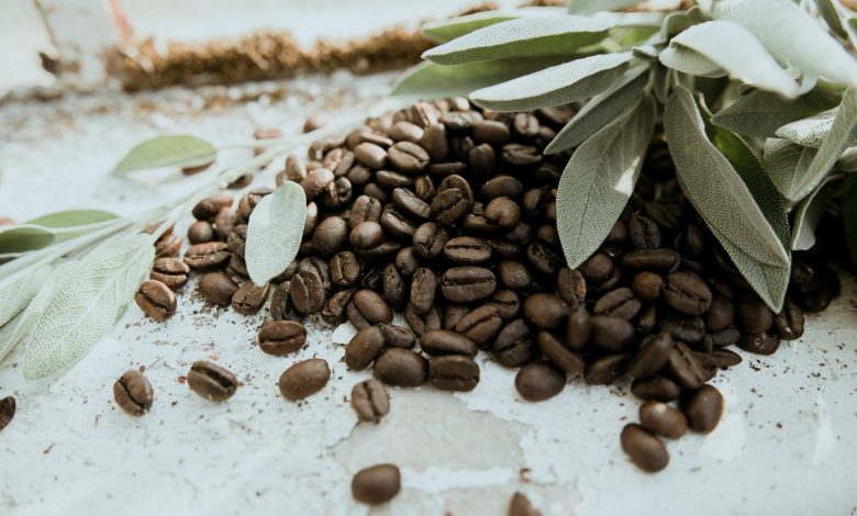 bio organická káva Cafézia - pohľad na zrná najvyššej kvality