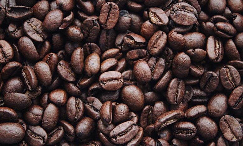 pestovanie kávy v Keni