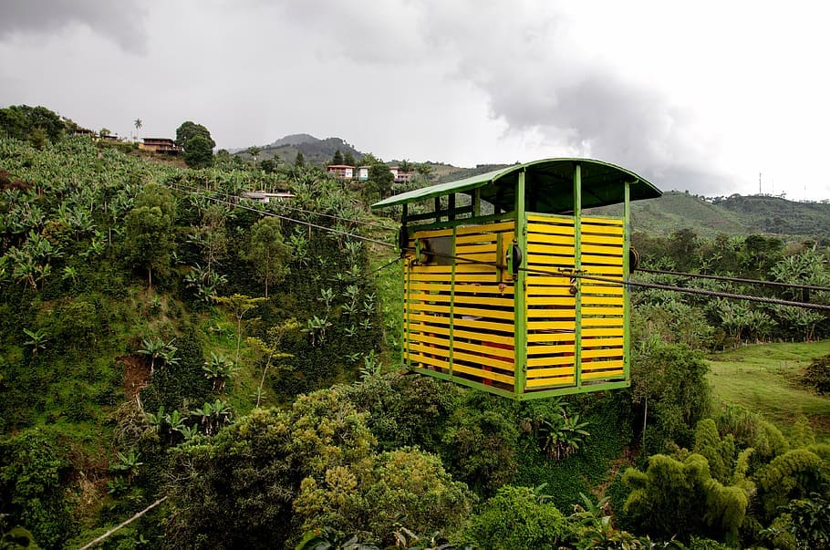 pestovanie a zber kávy v Kolumbii