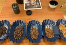 Photo of Ako presne odmerať stupeň praženia kávy?