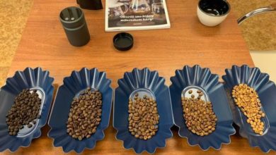 Photo of Ako presne odmerať stupeň praženia kávy?