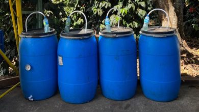 Photo of Anaeróbna fermentácia: Ovocné kávové bomby z Brazílie