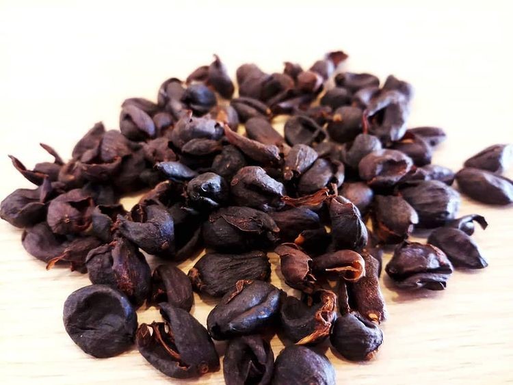 sušená kávová dužina cascara