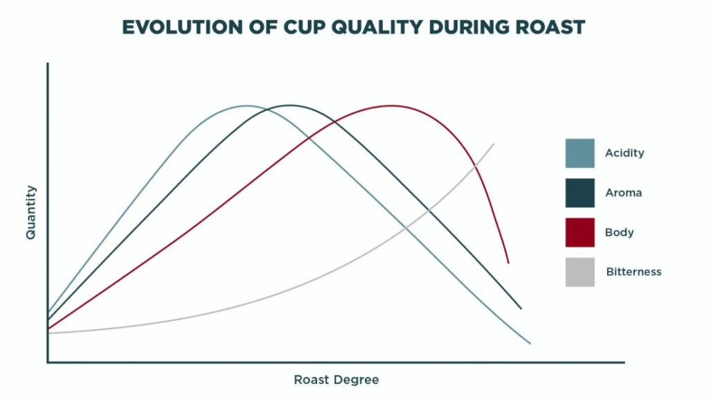 vývoj vlastností kávovníkového zrna v priebehu procesu praženia