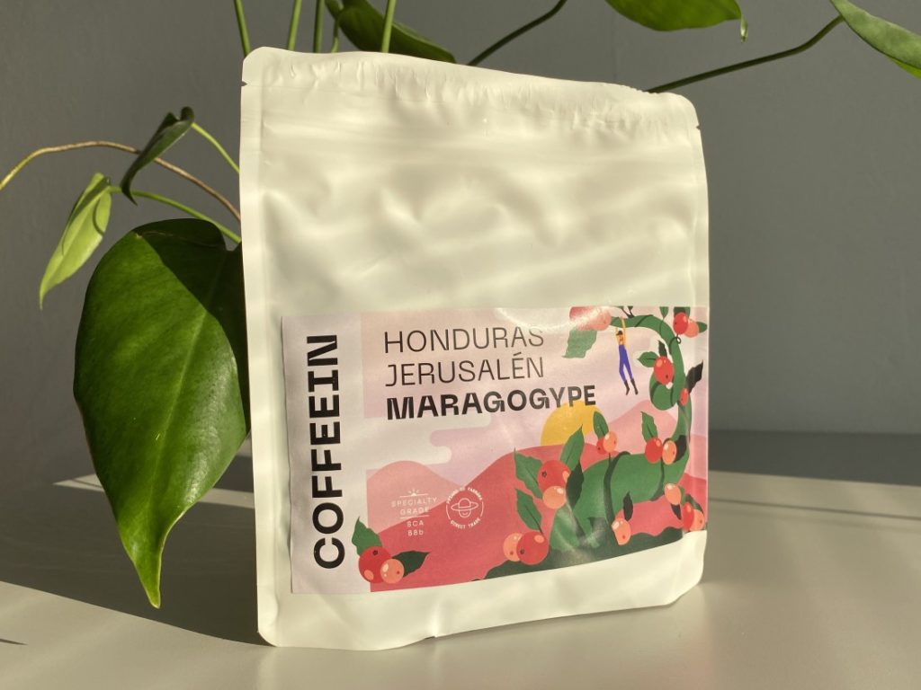 Honduras Jerusalén Maragogype od Coffeein