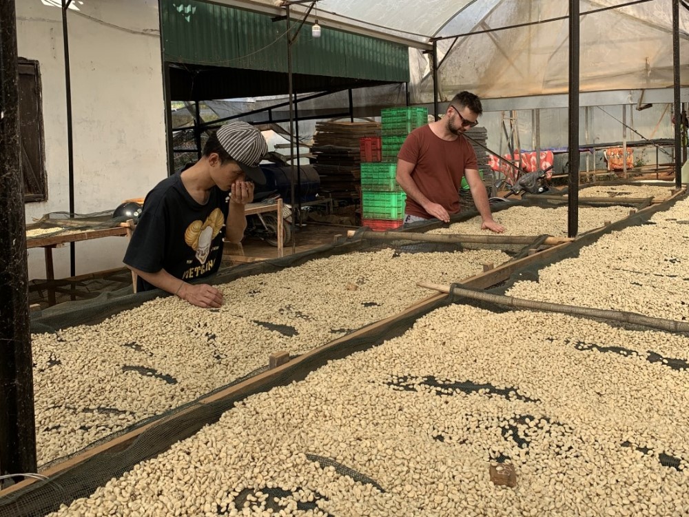 Oto Brtáň - spracovanie kávy - sušenie kávovníkových zŕn