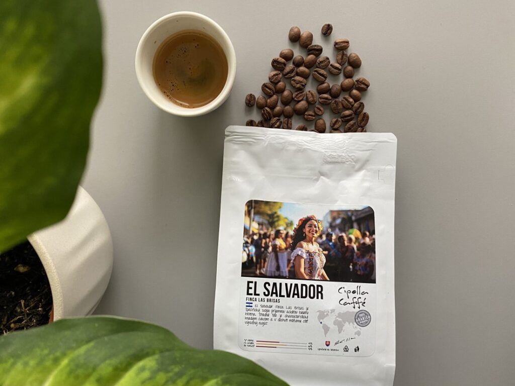 Cipolla Caffé - El Salvador Finca Las Brisas