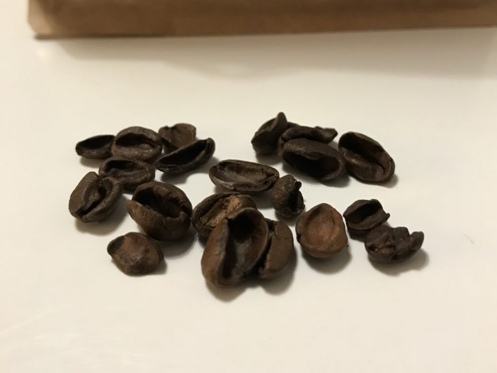 African Tusker Coffee - mušle