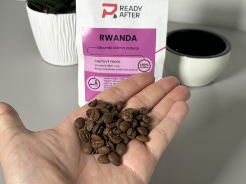 Rwanda Gicumbi District Natural od Ready After - zrná