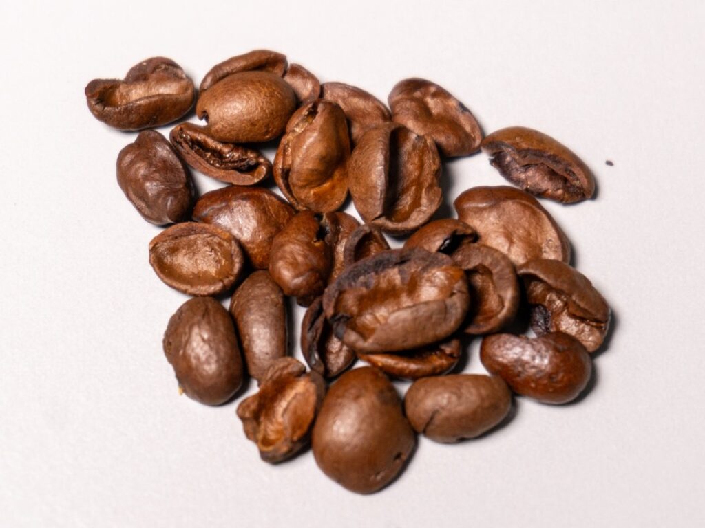 Lavazza Qualità Oro - mušle