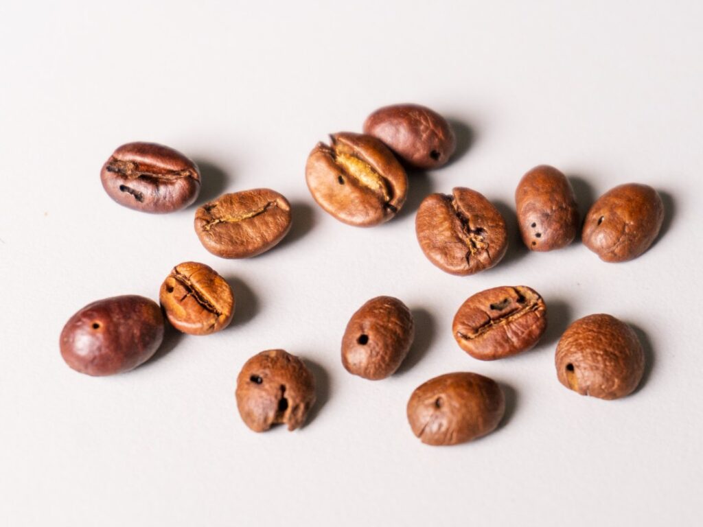 Future Coffee Dubai - zrná poškodené hmyzom