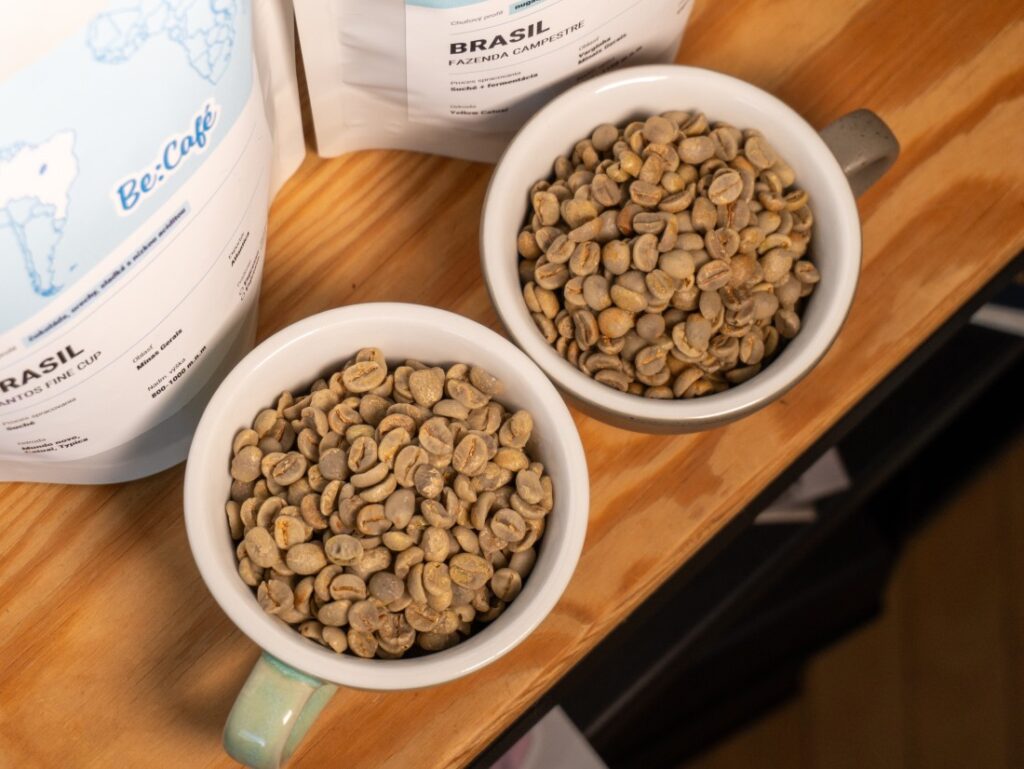 Brasil Santos Fine Cup a Brasil Fazenda Campestre - zelené zrno