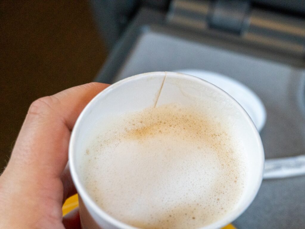 cappuccino v RegioJet - štruktúra mliečnej peny