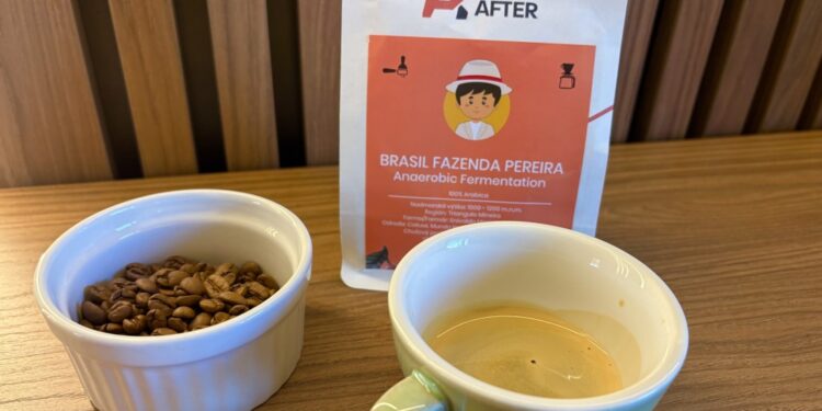 Brazília Fazenda Pereira od READY AFTER
