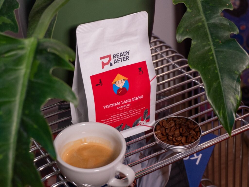 READY AFTER Vietnam Lang Biang Anaerobic - espresso