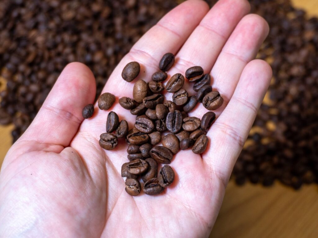 Doctors Protocol Coffee - zrno na ruke